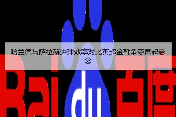 哈兰德与萨拉赫进球效率对比英超金靴争夺再起悬念